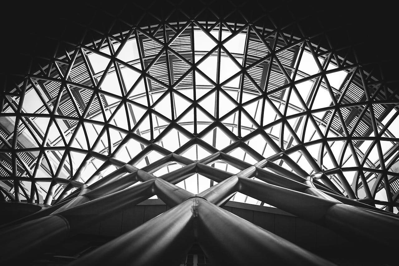 A striking black and white photo of a modern steel dome with geometric patterns.